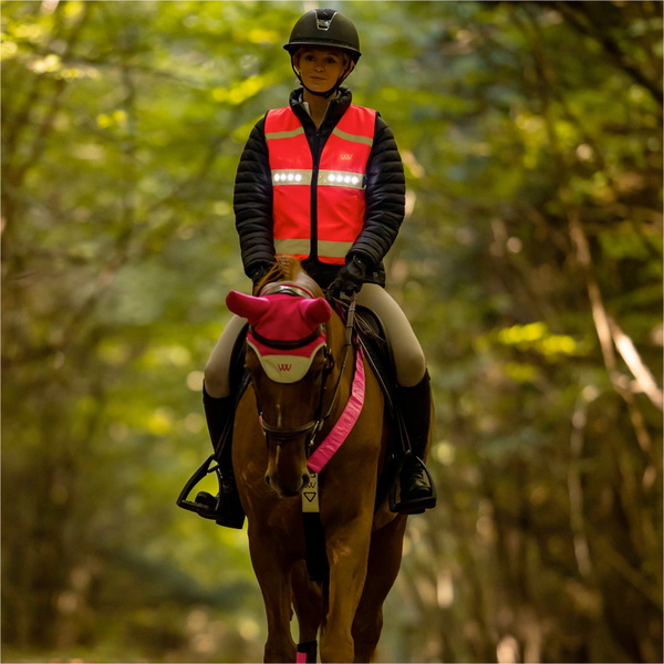 2026 Woof Wear LED Hi Vis Riding Vest WA0036-VZPI - Hi Viz Pink